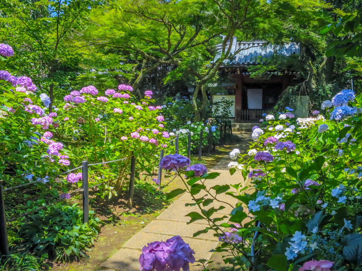 伊藤 和平さんの投稿写真