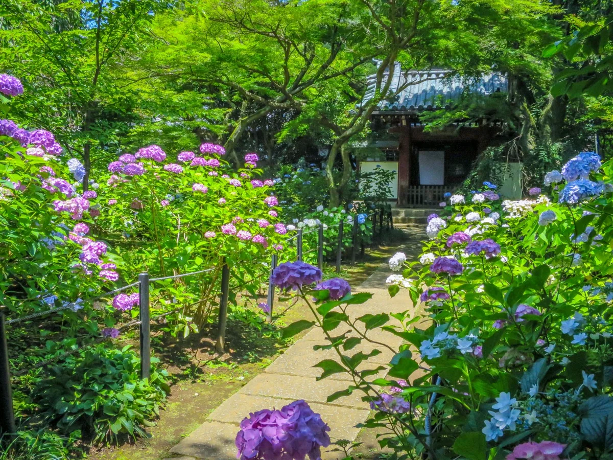 伊藤 和平さんの投稿写真