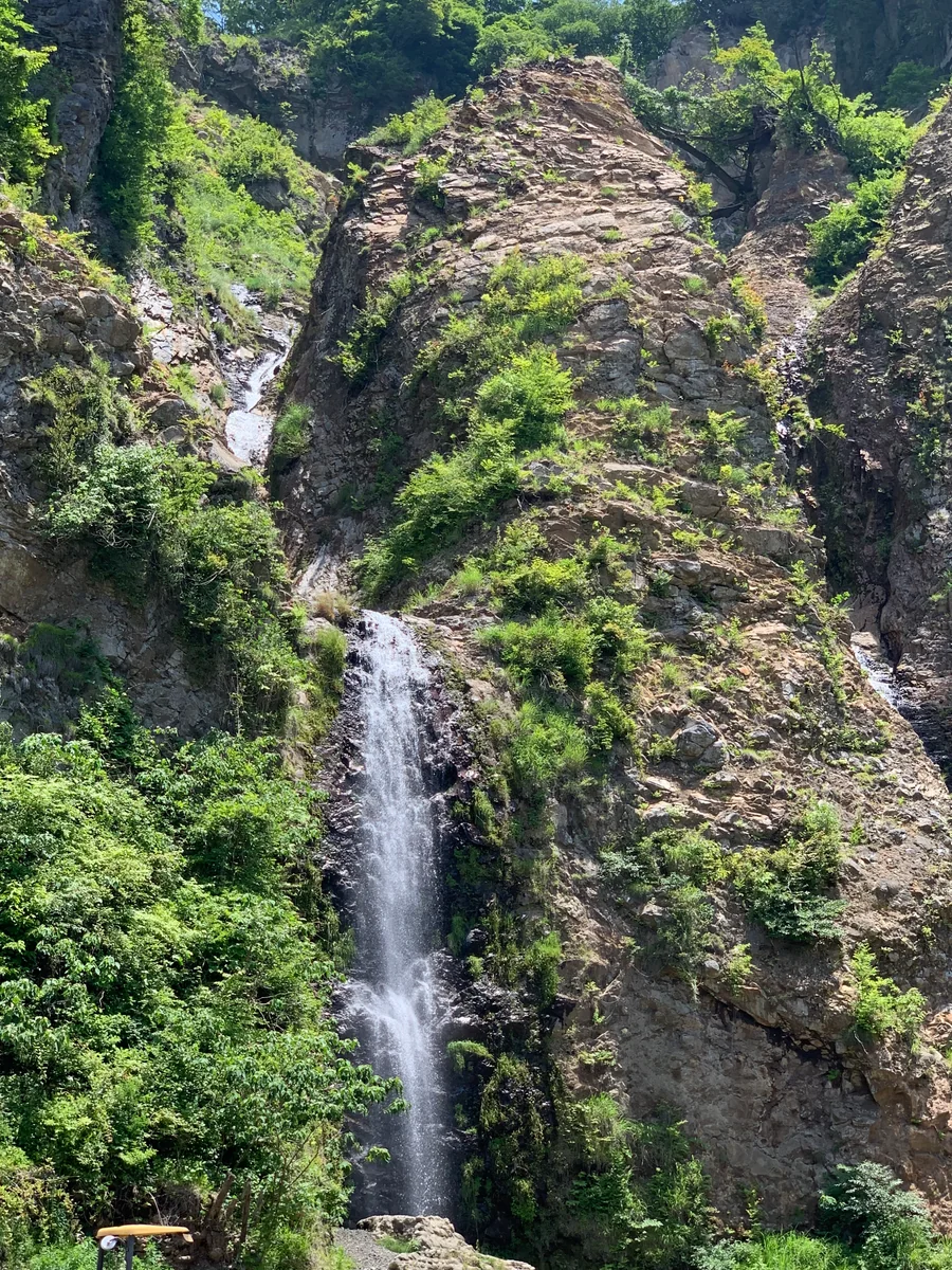 投稿写真：地震の爪痕すら美しくさせる自然の力