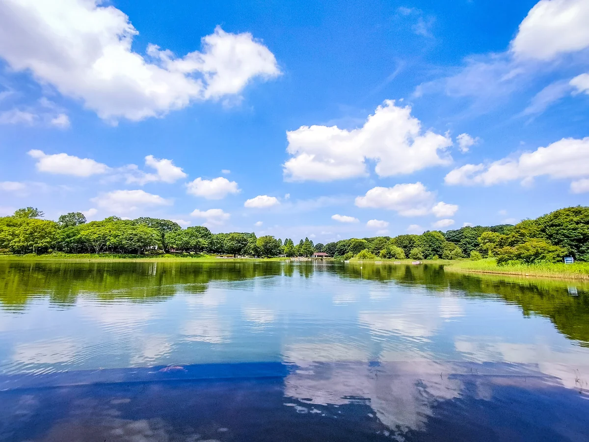 投稿写真：夏空のリフレクション