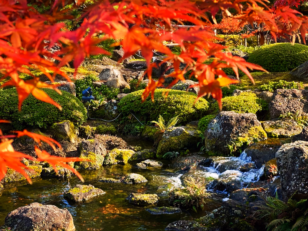 投稿写真：由志園の紅葉