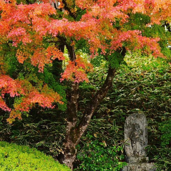 投稿：日本昔話の秋