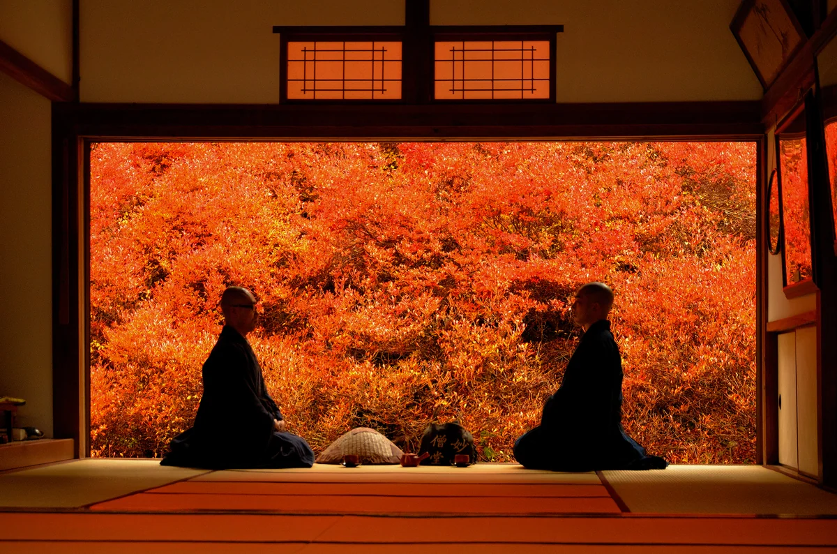 さむい者おげしさんの投稿写真