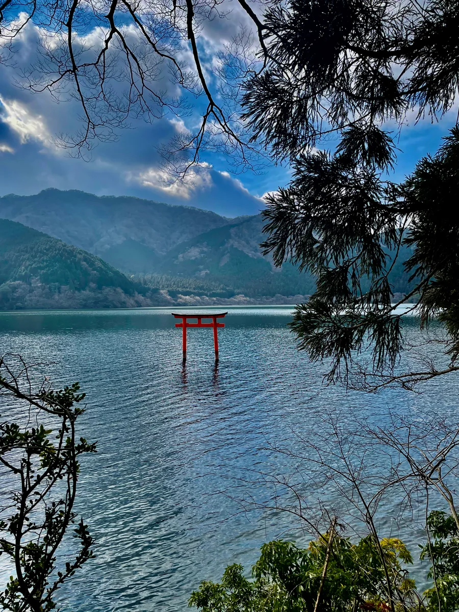 投稿写真：森に佇む9の龍が鎮座するパワースポット