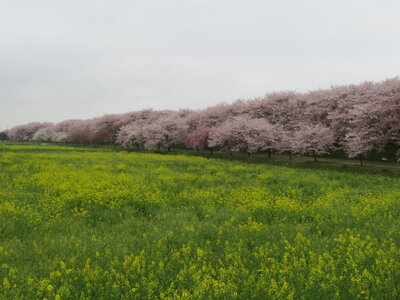  | 絶景事典