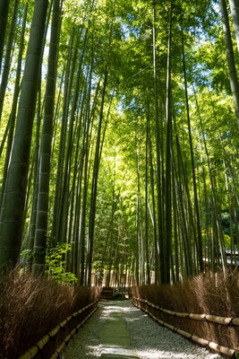 | 絶景事典