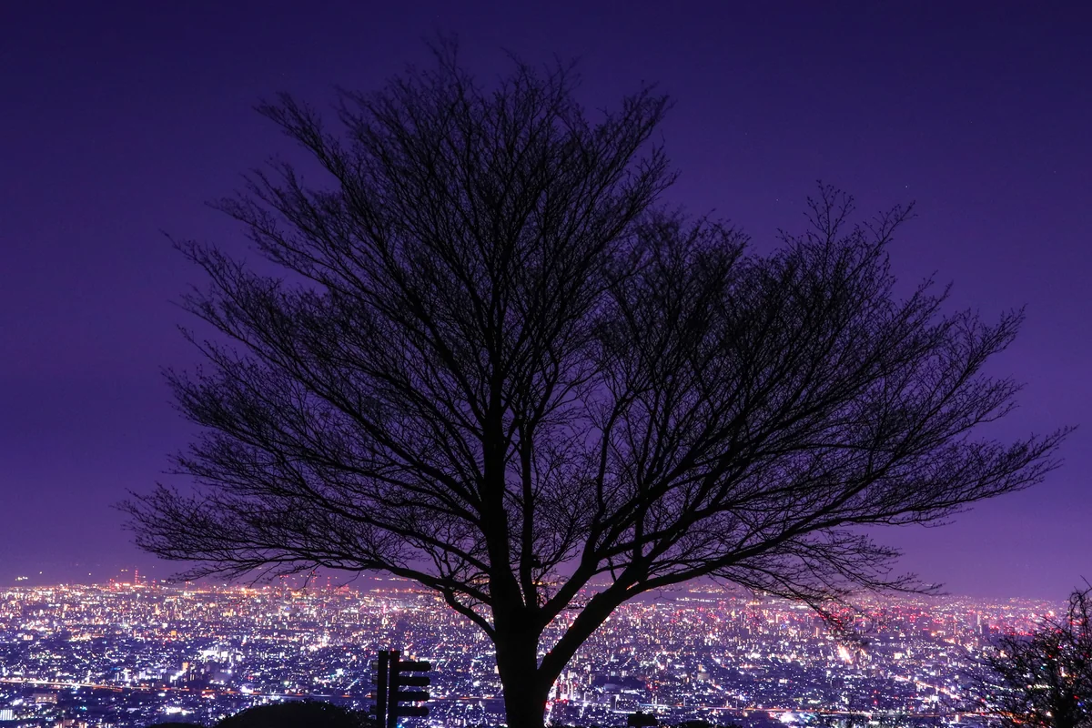 投稿写真：なるかわ園地