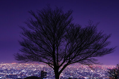  | 絶景事典