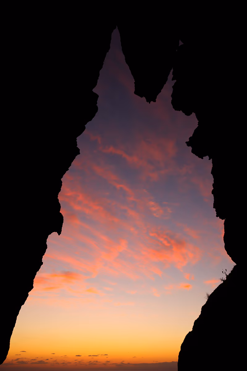 投稿写真：夕焼けに染まるトトロ