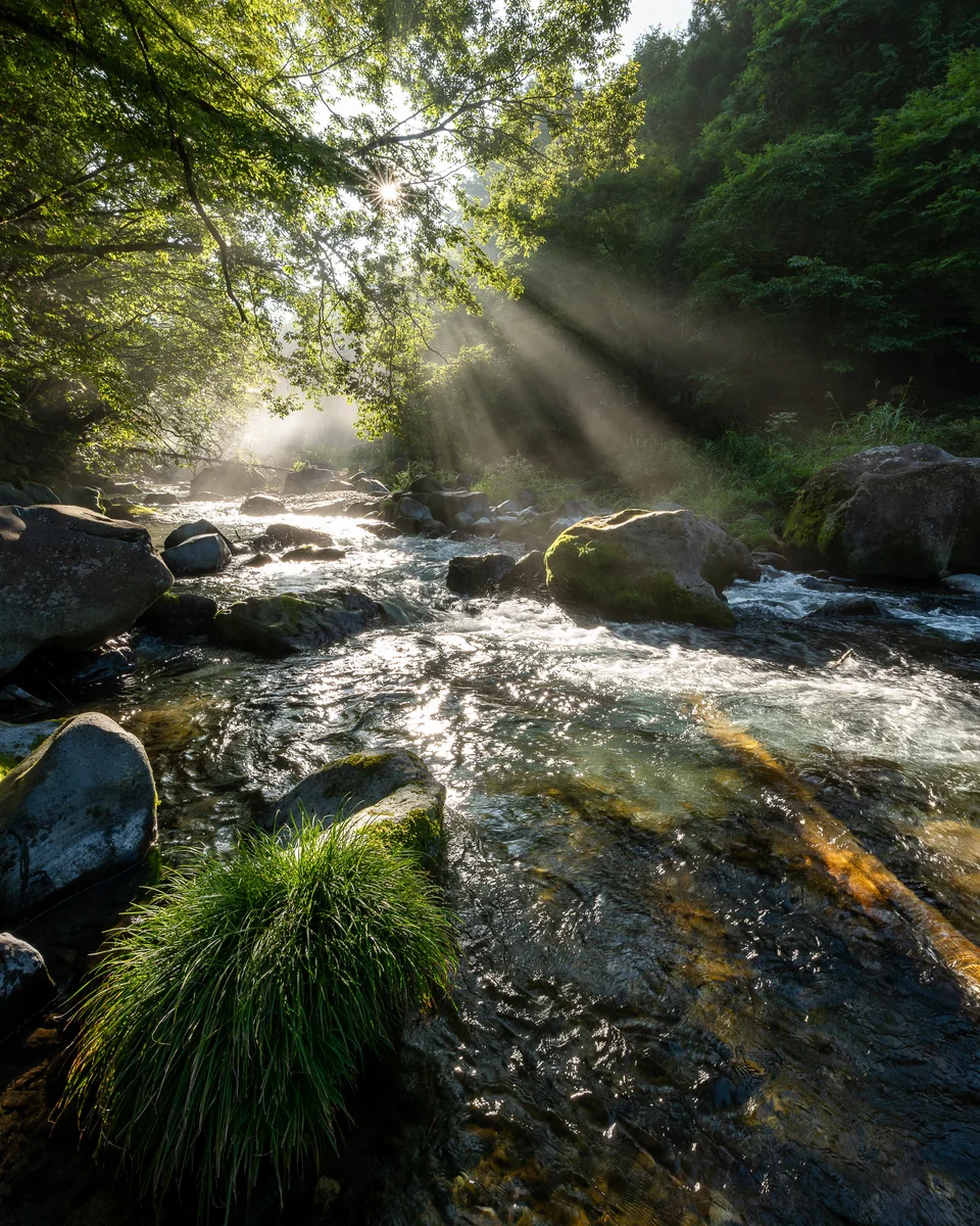 投稿写真：光射す朝
