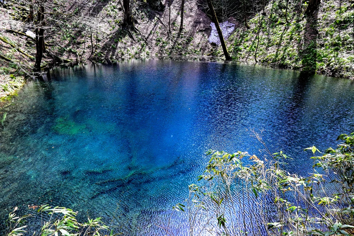 Hiromi Sakataさんの投稿写真