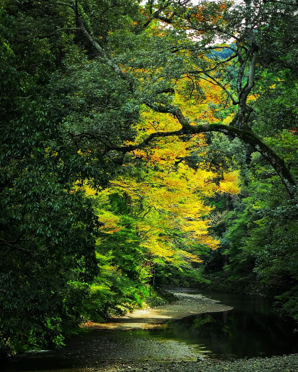 投稿写真：秋の欠片