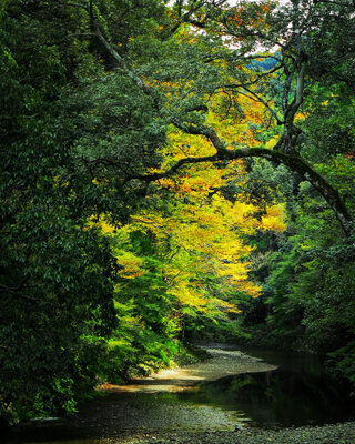  | 絶景事典