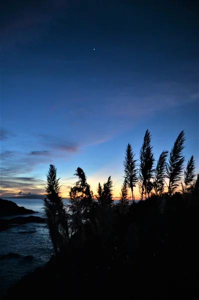 投稿：日の出前の爪木崎