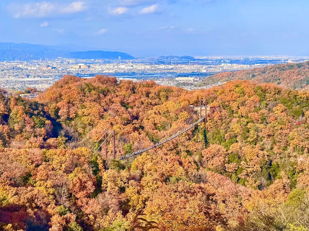 投稿写真：豊かな自然が広がる府民の森ほしだ園地と星のブランコ