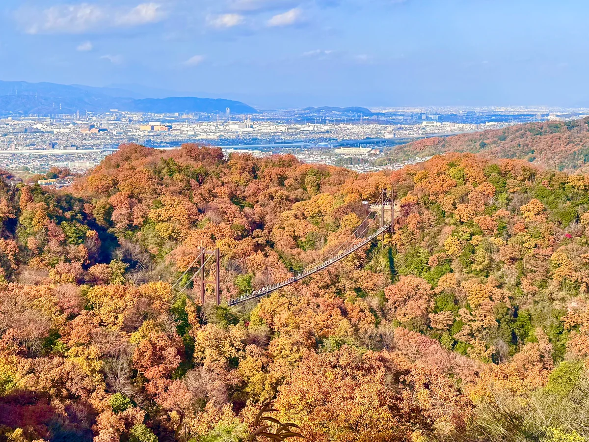 投稿写真：豊かな自然が広がる府民の森ほしだ園地と星のブランコ