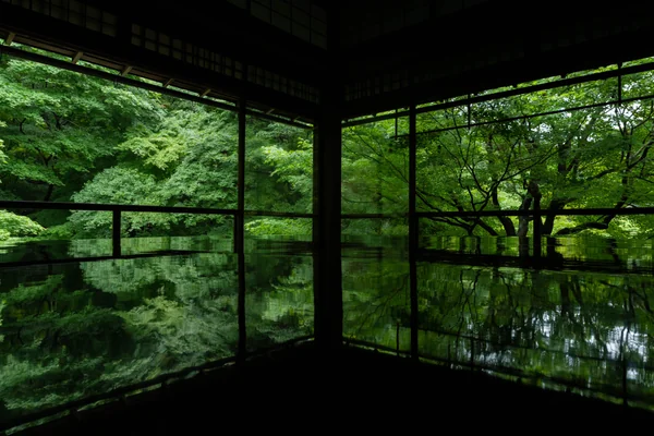 投稿：瑠璃光院