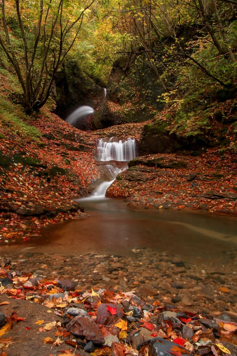 投稿写真：権現沢の秋