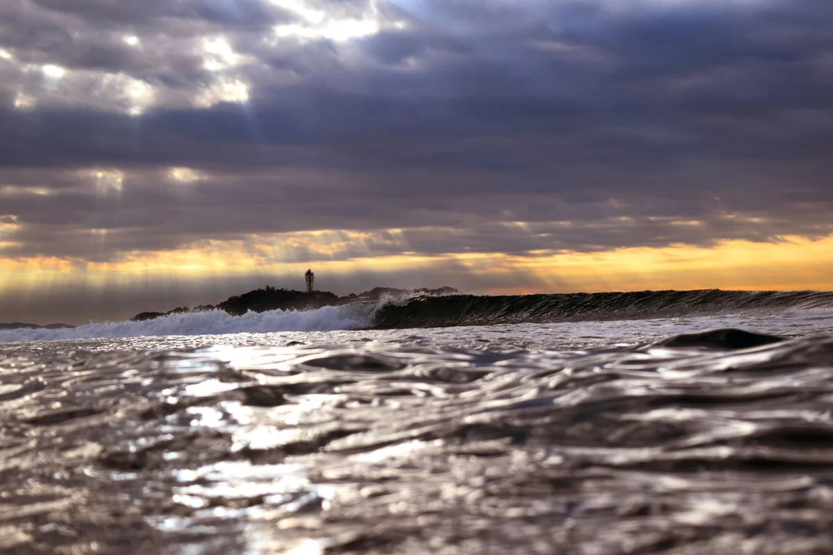 投稿写真：ＳＴＲＥＡＭ