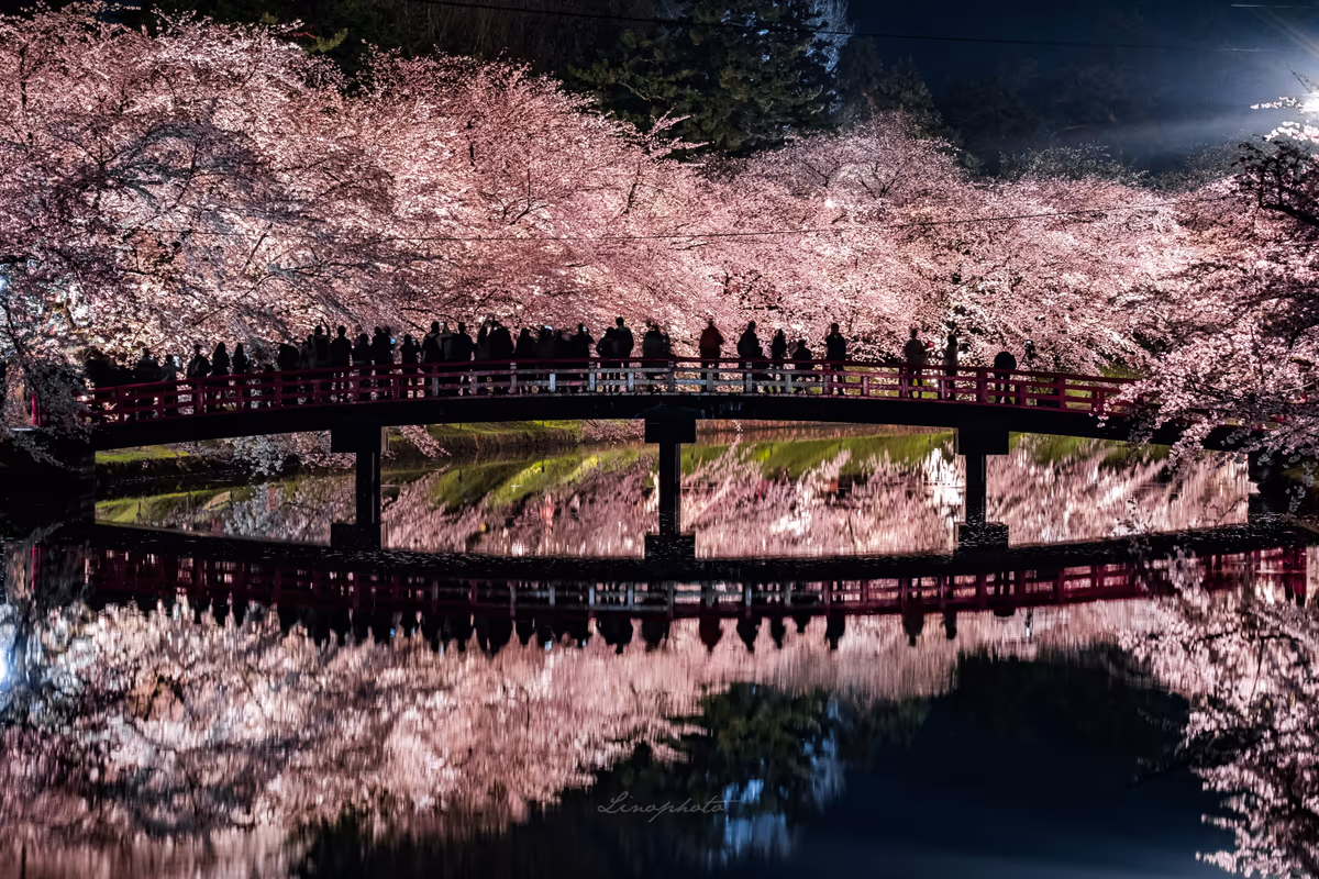 投稿写真：Loop
