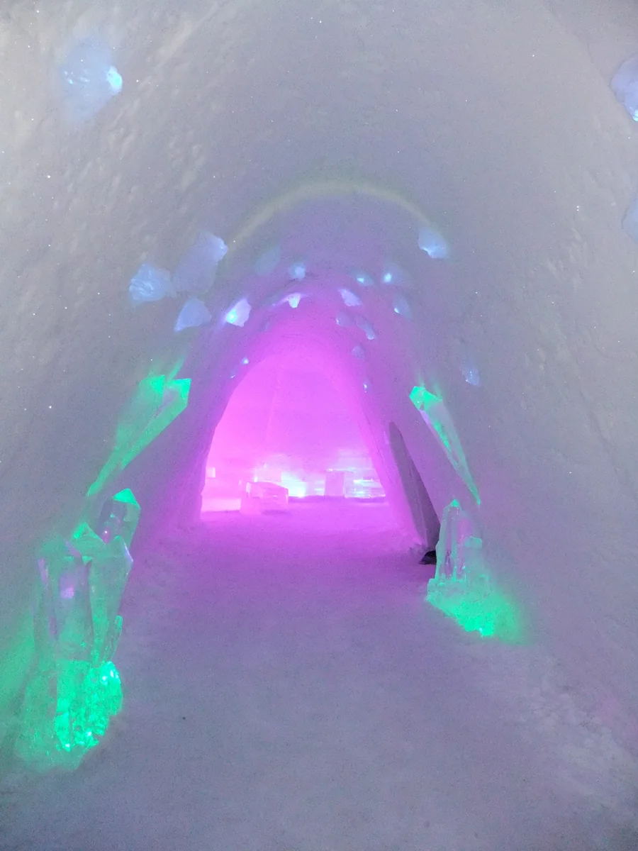 MAKI　TEAさんの投稿写真