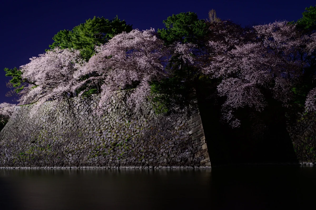 投稿写真：お堀