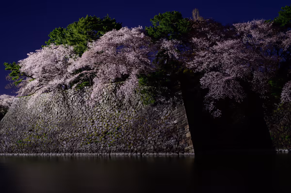 投稿：お堀