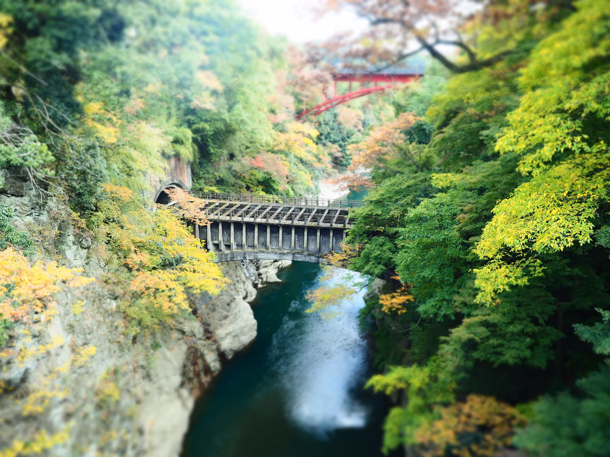 投稿写真：水路橋