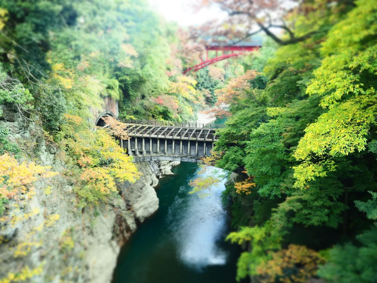 投稿写真：水路橋