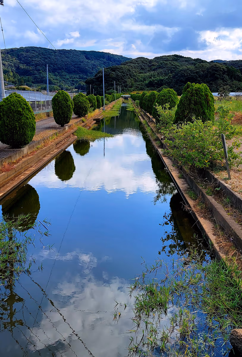 投稿写真：浜河内バス停前