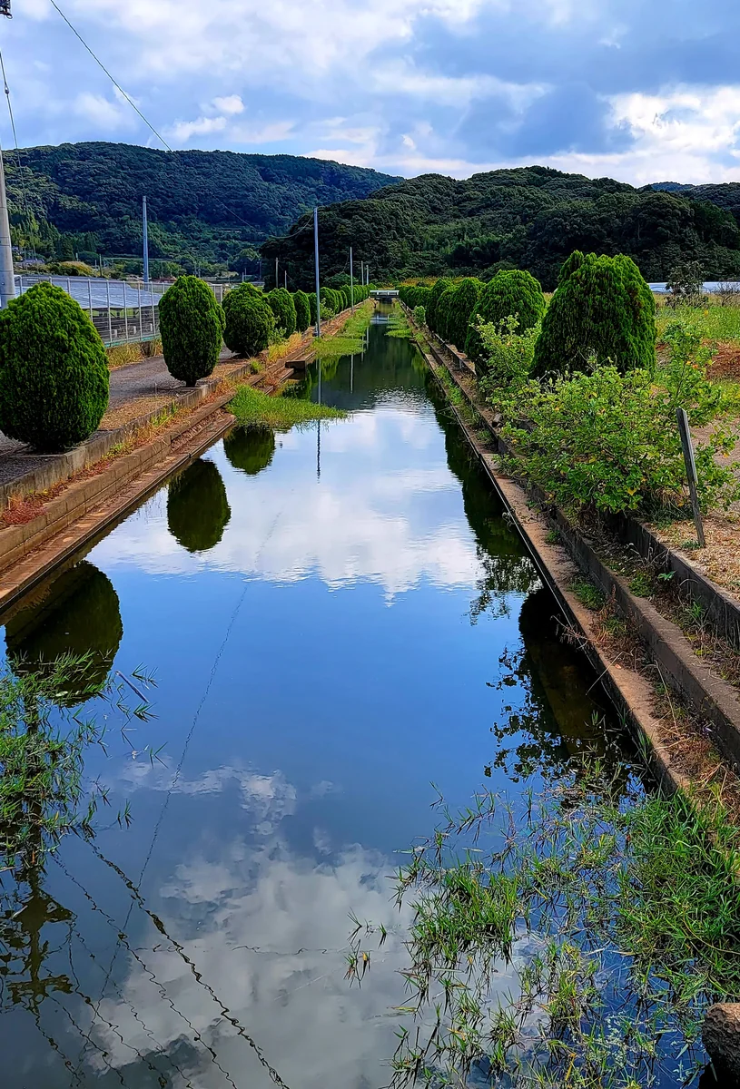 投稿写真：浜河内バス停前