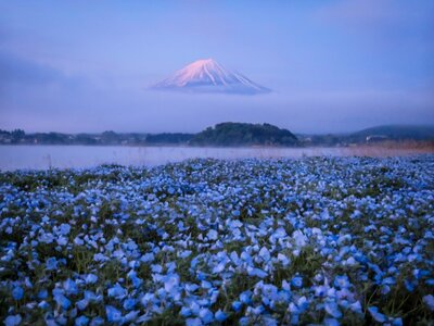  | 絶景事典