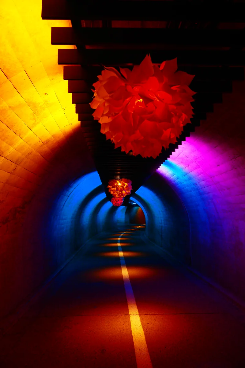 投稿写真：光りのトンネル