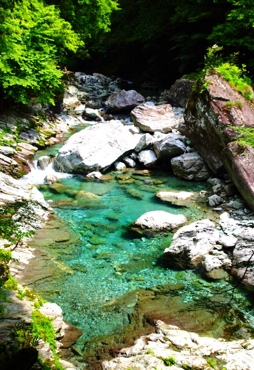 投稿写真：仁淀ブルー、輝く