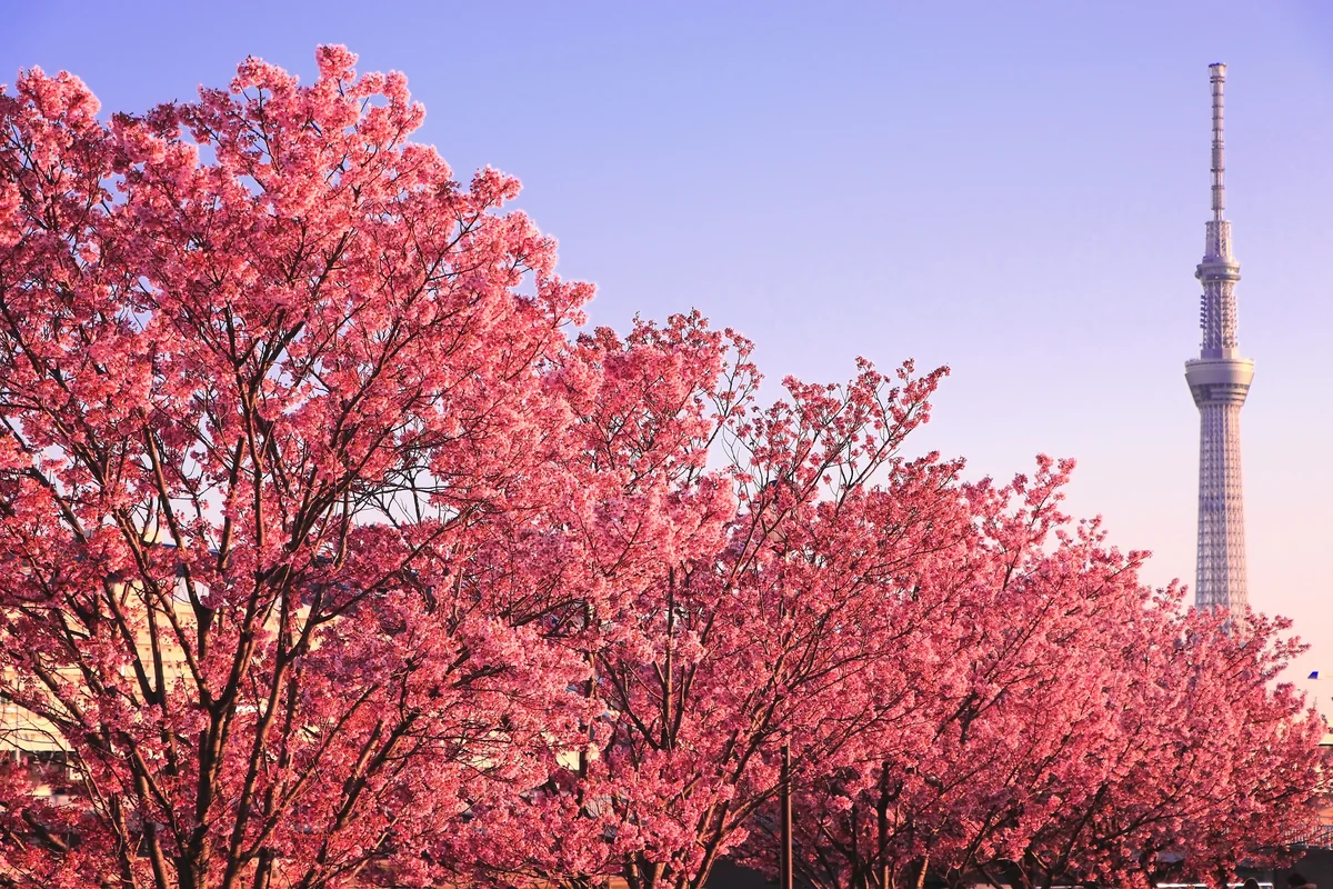 KNDさんの投稿写真