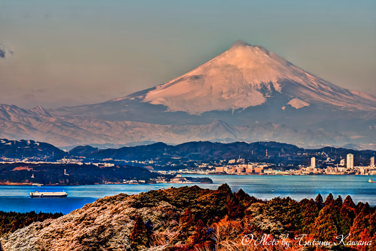 投稿写真：厳冬期の房総半島からの、雪富士山。