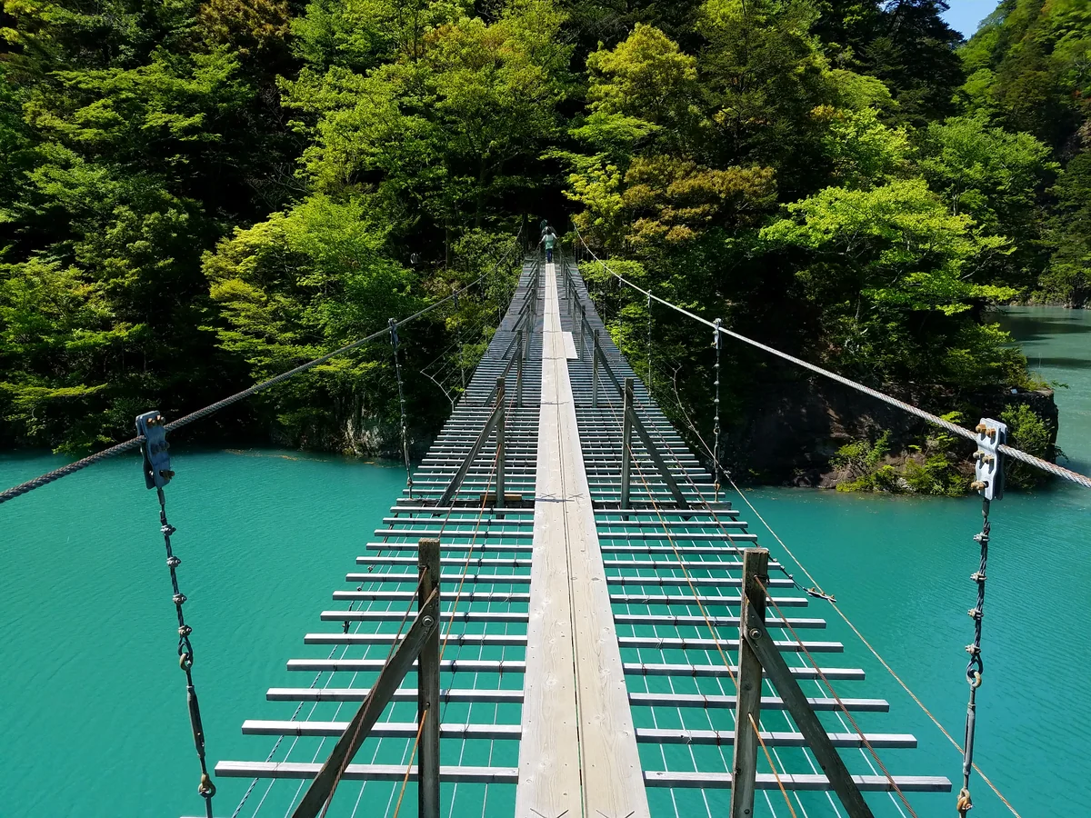 投稿写真：寸又峡夢の吊り橋