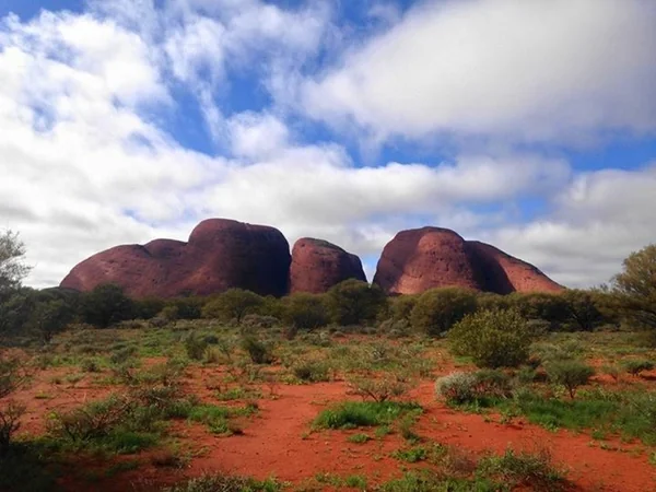 投稿：カタジュタ