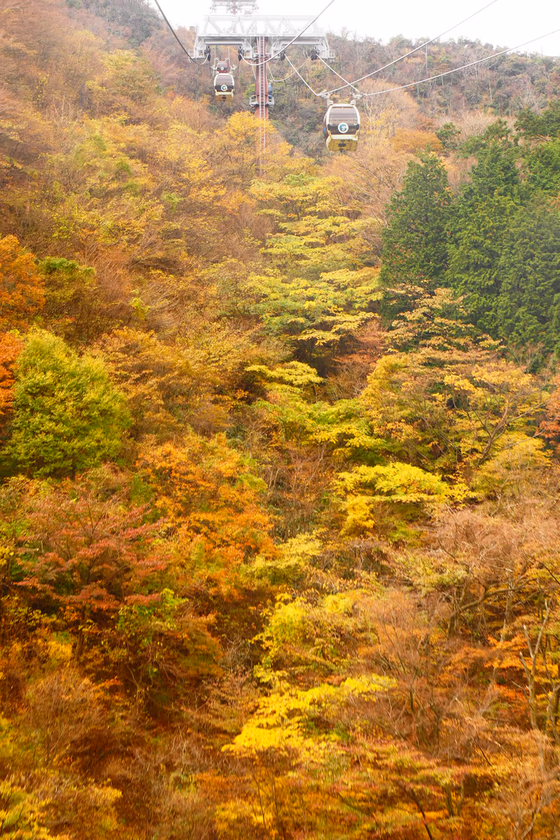 投稿写真：箱根ロープウェイ　秋の上の空中散歩