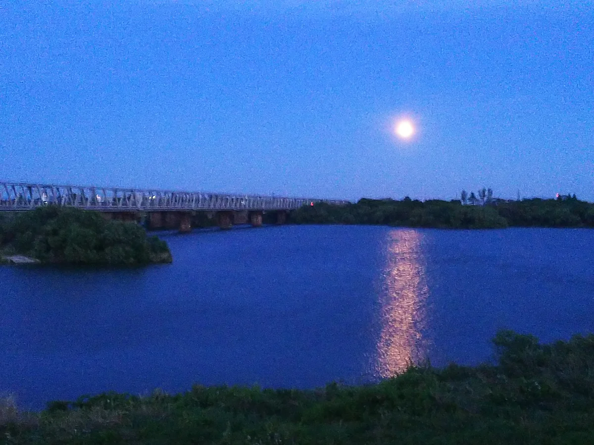 投稿写真：白夜？