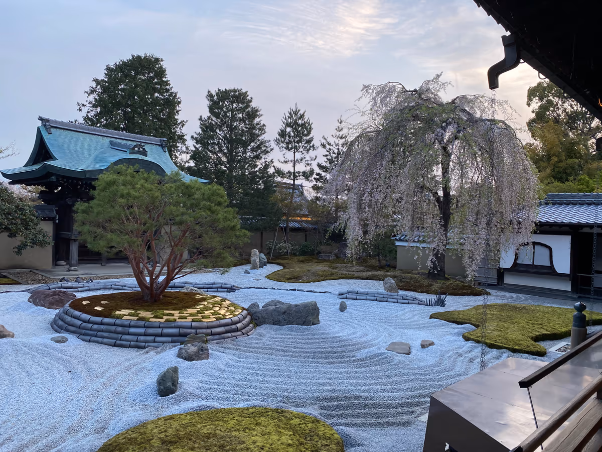 投稿写真：春の高台寺
