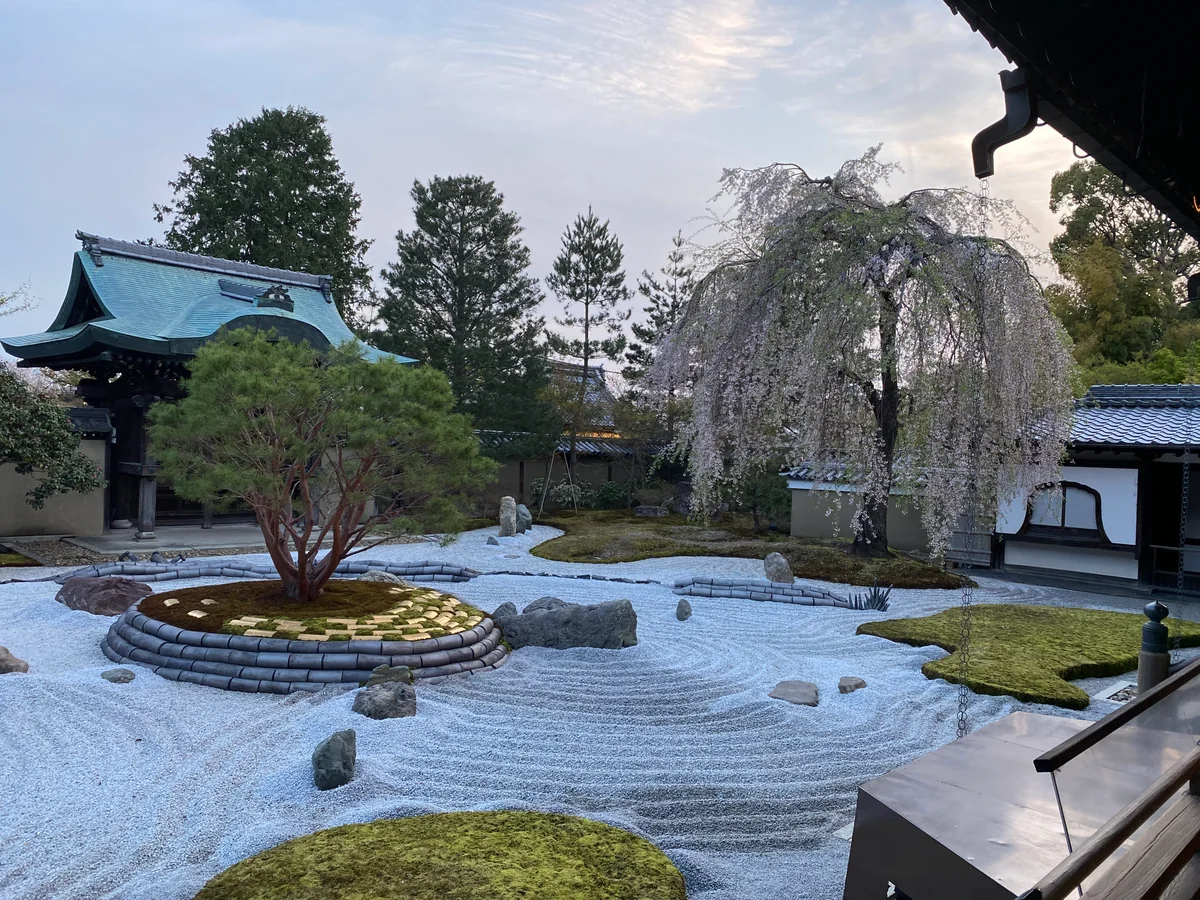 投稿写真：春の高台寺