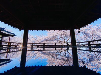  | 絶景事典