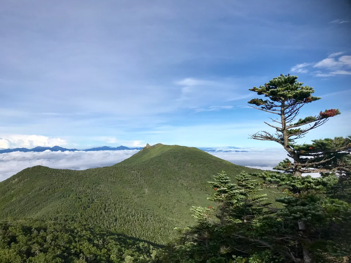 投稿写真：金峰山