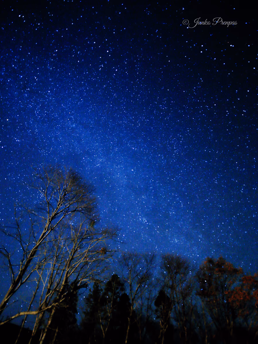 投稿写真：峰山高原の星空