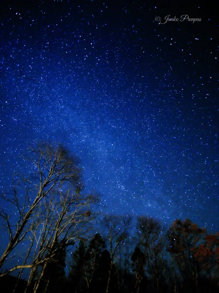 投稿：峰山高原の星空