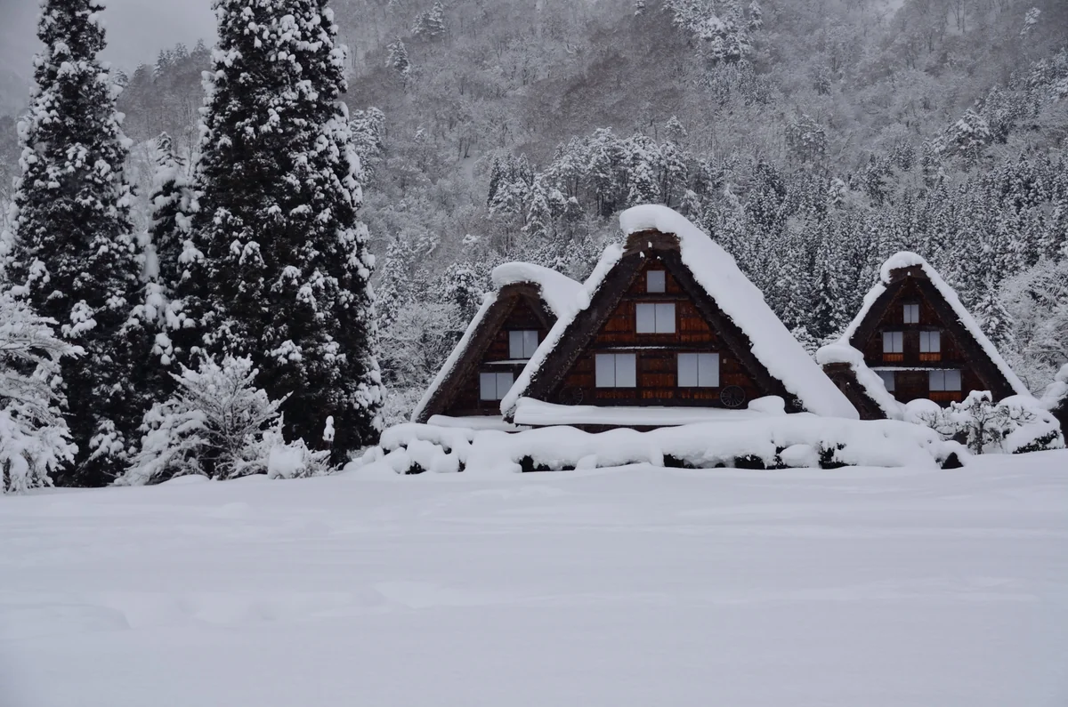 投稿写真：雪に埋もれて