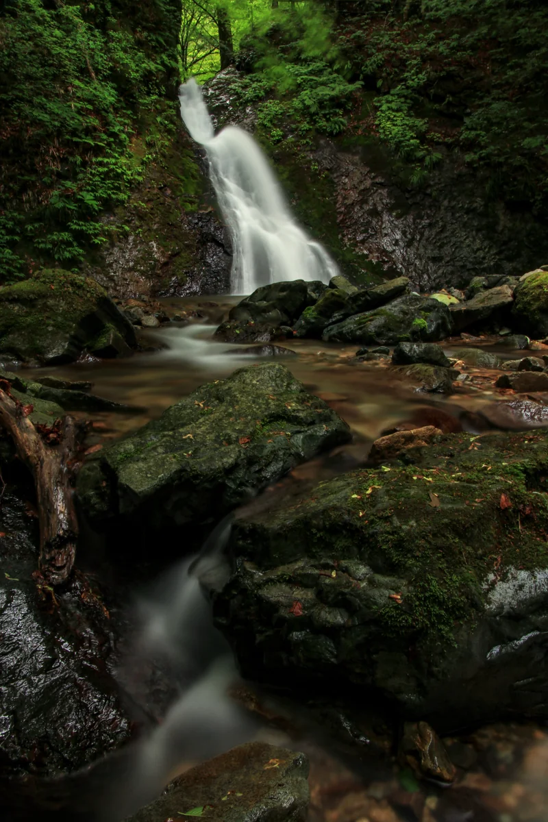投稿写真：新緑と滝