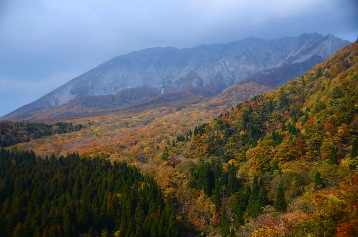 投稿写真：秋の大山　鍵掛峠