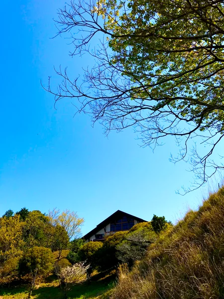 投稿：森林体験館